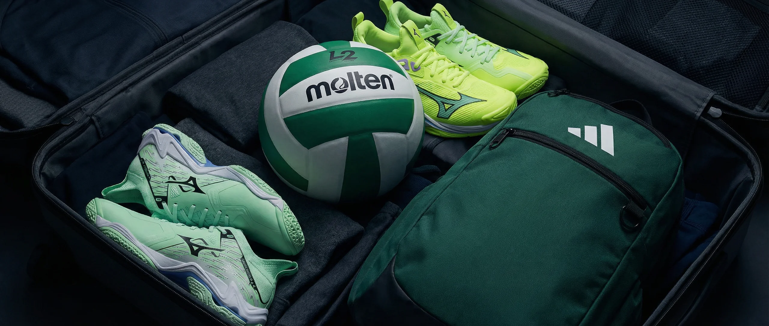 Dominate the Court Every Day